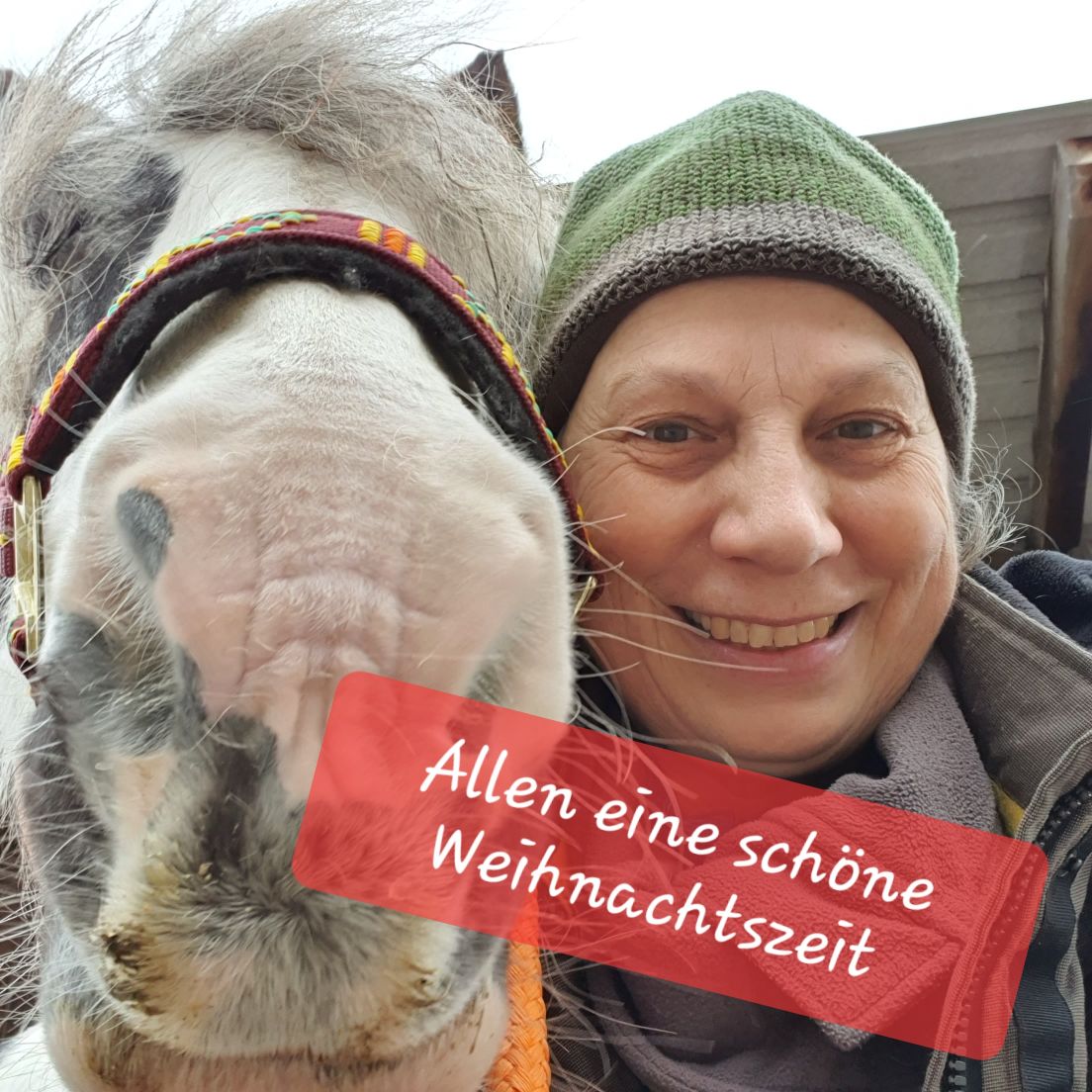 2023 12 Dezember 658